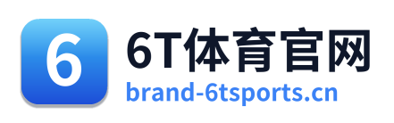 6T体育官网
